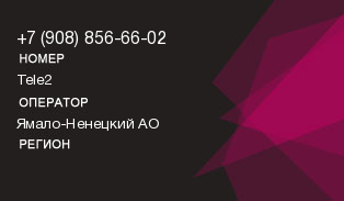 9088566602